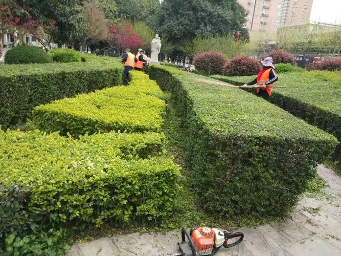 普陀区河道绿化工程建设