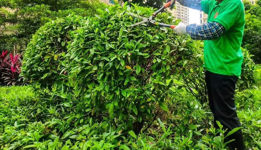 林园绿化工程行业背景介绍